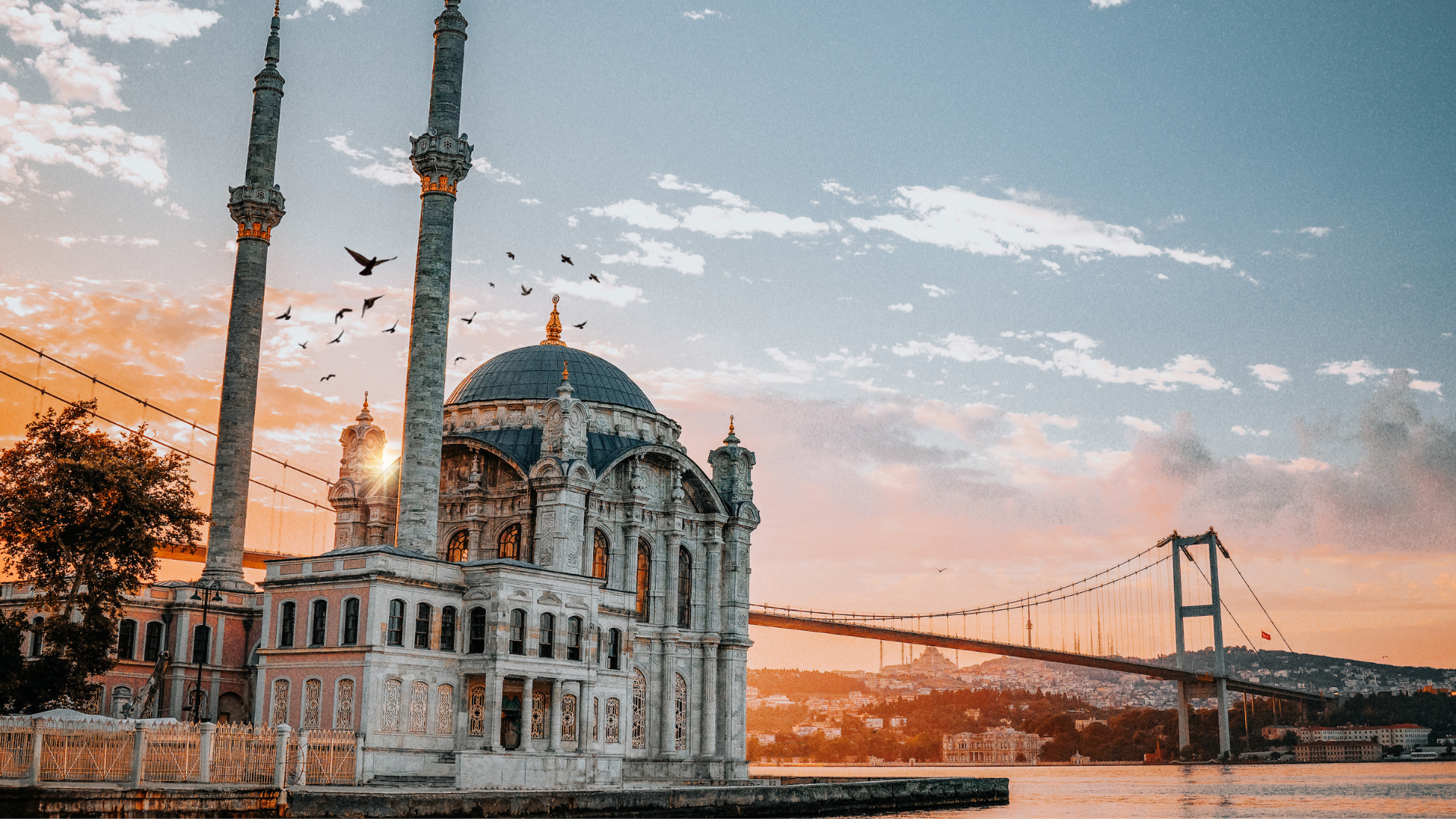 Névtelen terv (14).png